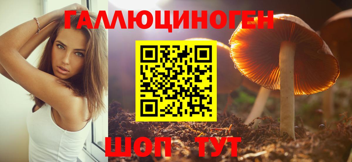 Алексеевка  Псилоцибиновые грибы Cubensis  Вход с VPN 